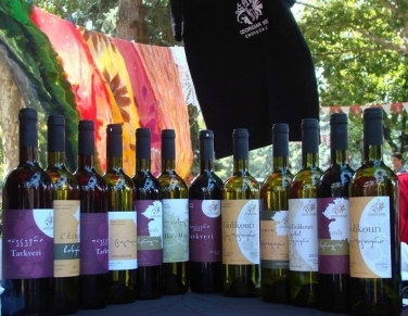 Gori wine fest 2014